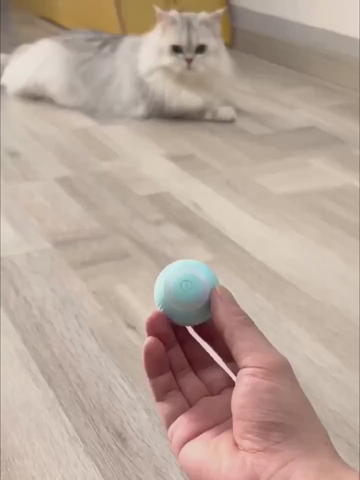 Cat Toy Ball Intelligent Funny Cat Ball 360 Degree (Pack of - 1)